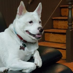 Meet your Posher, Venisha